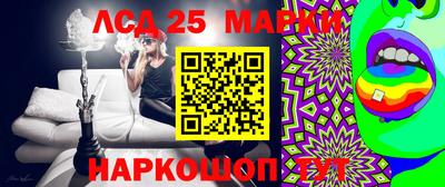 ПСИЛОЦИБИНОВЫЕ ГРИБЫ Гусев
