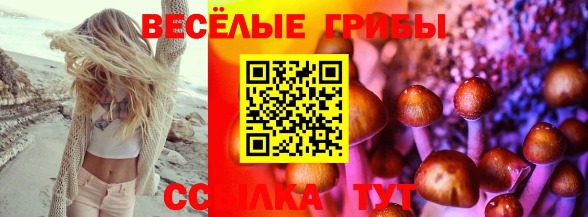 Галлюциногенные грибы прущие грибы Клин