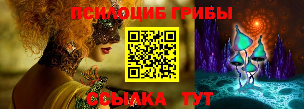 Клин  Псилоцибиновые грибы прущие грибы  Вход с VPN 